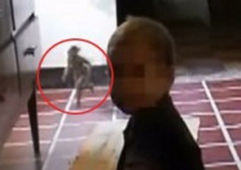  Criatura bizarra aparece em vídeo caseiro e causa medo em família