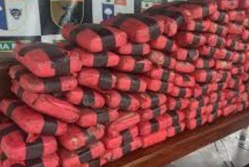 Grupo é preso e uma tonelada de drogas é apreendida no Rio Negro