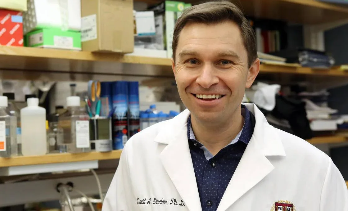 Laboratório reverteu a idade biológica em animais em 50 a 75% em seis semanas