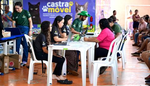 Japiim recebe 120 vagas para castração gratuita de cães e gatos nesta sexta