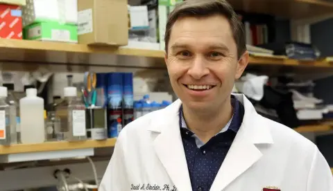 Laboratório reverteu a idade biológica em animais em 50 a 75% em seis semanas