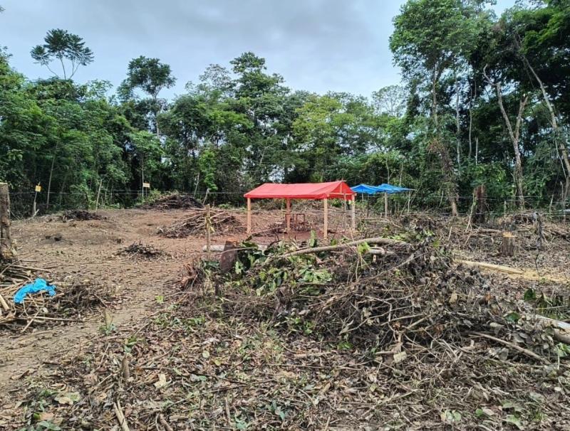 WhatsApp Image 2026-02-26 at 11.13.51.jpeg