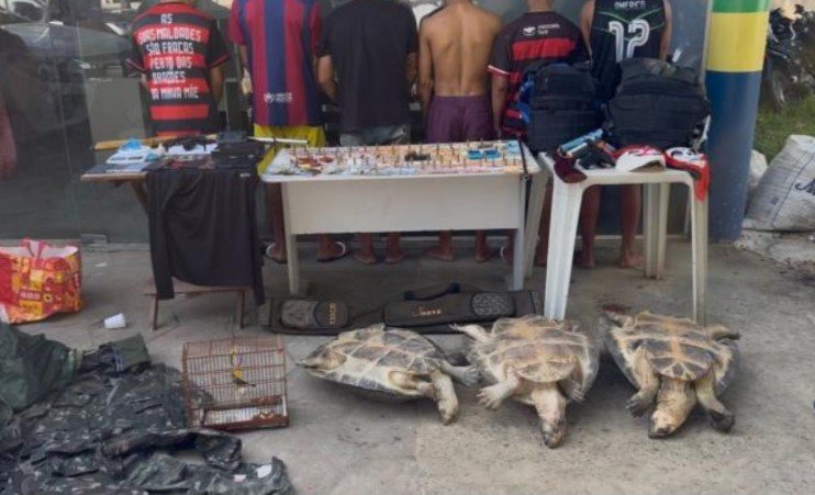 Grupo é preso com armas, drogas e animais silvestres em Carauari