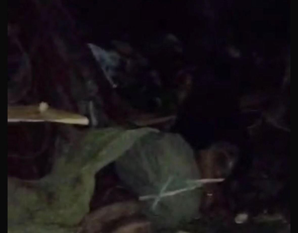 PM resgata homem de "tribunal do crime" após troca de tiros no Tancredo Neves, vídeo