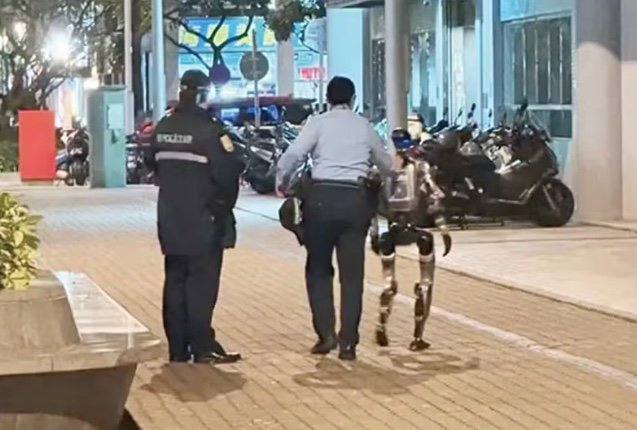 Robô humanoide é "detido" após causar pânico em idosa