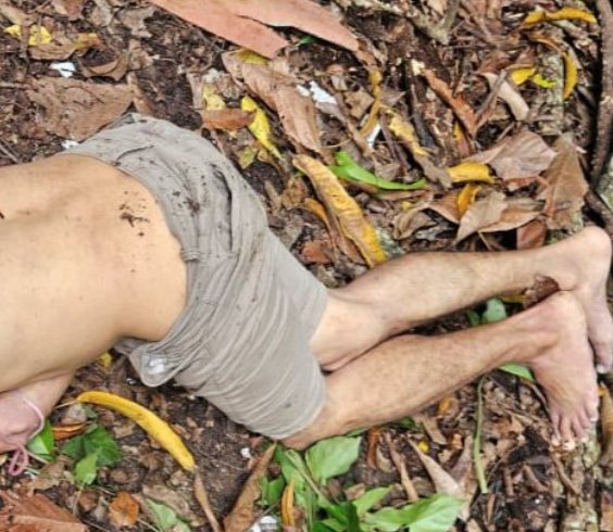 Jovem é encontrado morto em área de mata no bairro Planalto