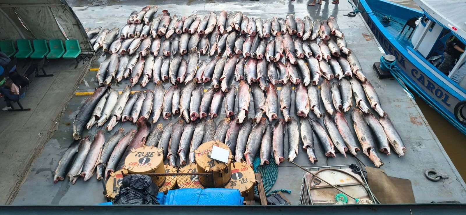 PM apreende 16 toneladas de peixe ilegal em barco que seguia para o Pará