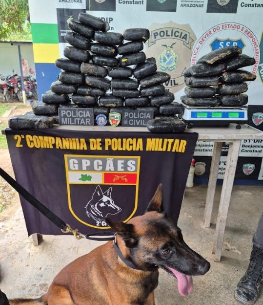 Drogas avaliadas em R$ 1,1 milhão são apreendidas em Benjamin Constant