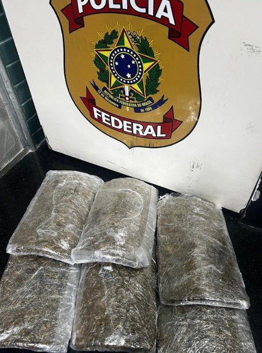 PF prende homem com 3kg de maconha no Aeroporto de Manaus