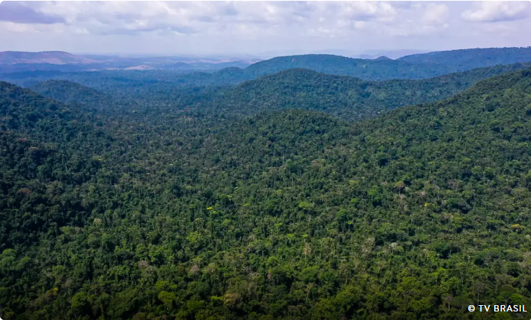 Amazonas reduz desmatamento em 32% e fevereiro bate recorde de queda na Amazônia