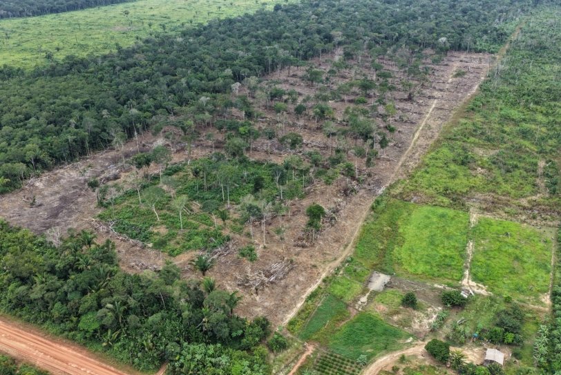 Ipaam aplica quase R$ 600 mil em autuações e bloqueia 115 hectares em Humaitá