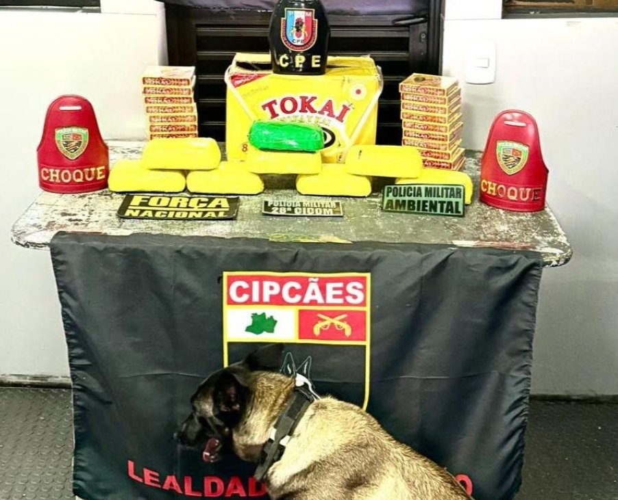 PM apreende R$ 900 mil em drogas durante operação em Coari