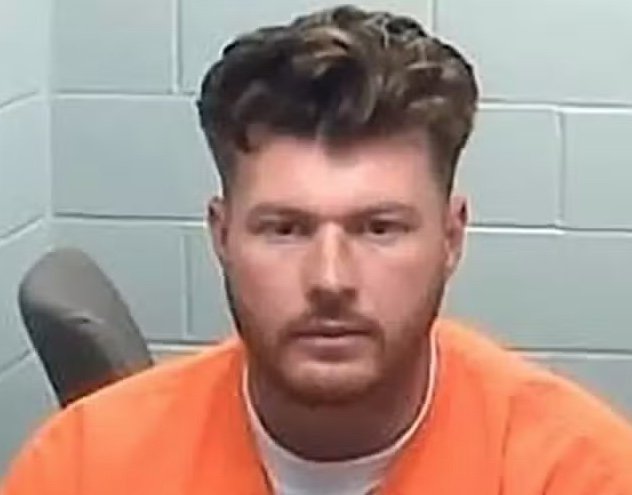 Homem mata gaivota que "roubou" batata frita de criança