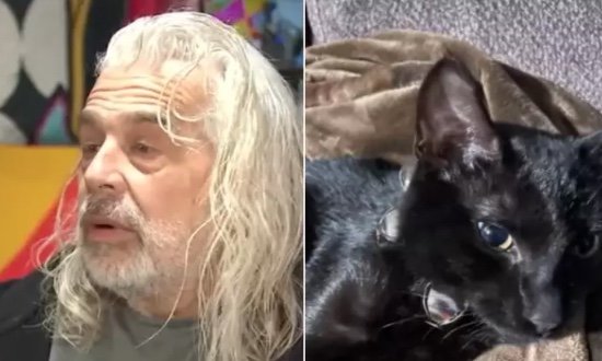 Gato filhote salva dono de incêndio nos EUA, mas morre nas chamas