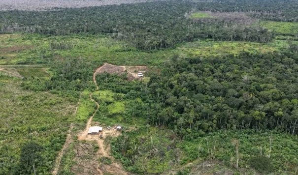 Ipaam aplica R$ 1,7 milhão em multas por desmatamento em Humaitá