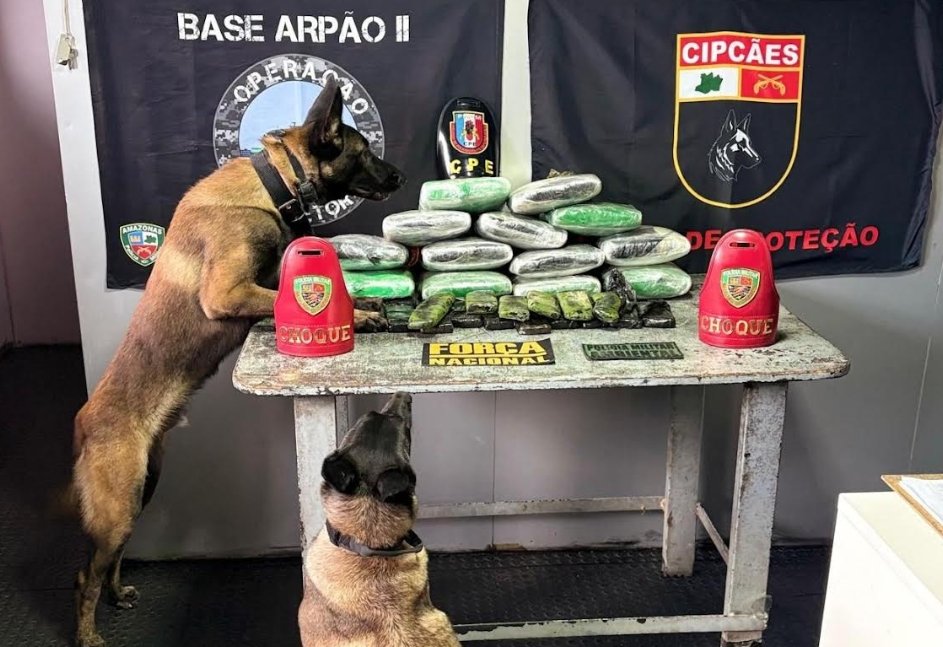Operação da PMAM resulta em apreensão de 29kg de drogas em Coari e Codajás