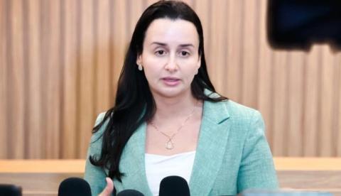 Homens que usaram chave de fenda e agrediram gato são presos em Manaus