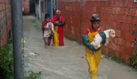 Corpo de Bombeiros resgata 32 famílias durante temporal histórico em Manaus