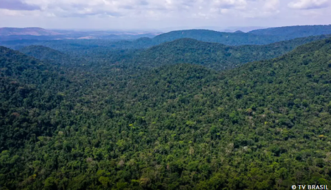 Amazonas reduz desmatamento em 32% e fevereiro bate recorde de queda na Amazônia