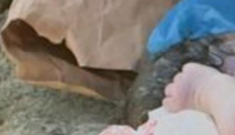 Recém-nascida é encontrada morta dentro de sacola no bairro Nova Cidade