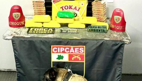 PM apreende R$ 900 mil em drogas durante operação em Coari