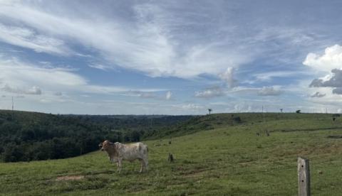 IPAAM multa em R$ 465 mil e embarga área desmatada em Apuí