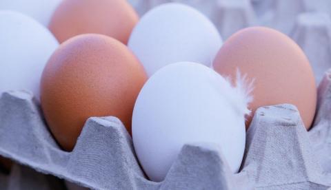 Preço do ovo sobe até 19% em março impulsionado pela Quaresma