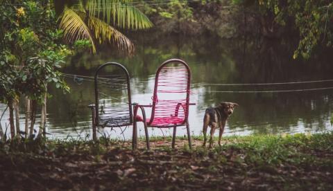Manaus inspira Bad Bunny? Foto local e capa de Grammy 2026 chocam pela semelhança