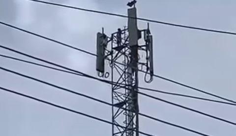 Crianças são flagradas brincando no topo de torre de telefonia em Maués