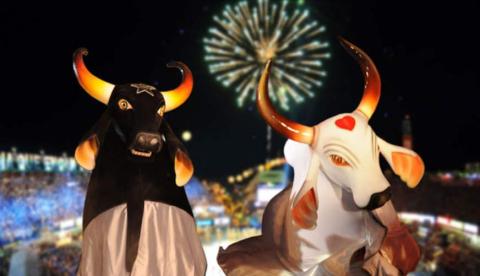 Bois Caprichoso e Garantido suspendem rivalidade para manter Marciele no BBB 26