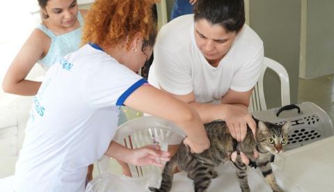 Jorge Teixeira recebe mutirão de saúde e vacinação animal neste sábado