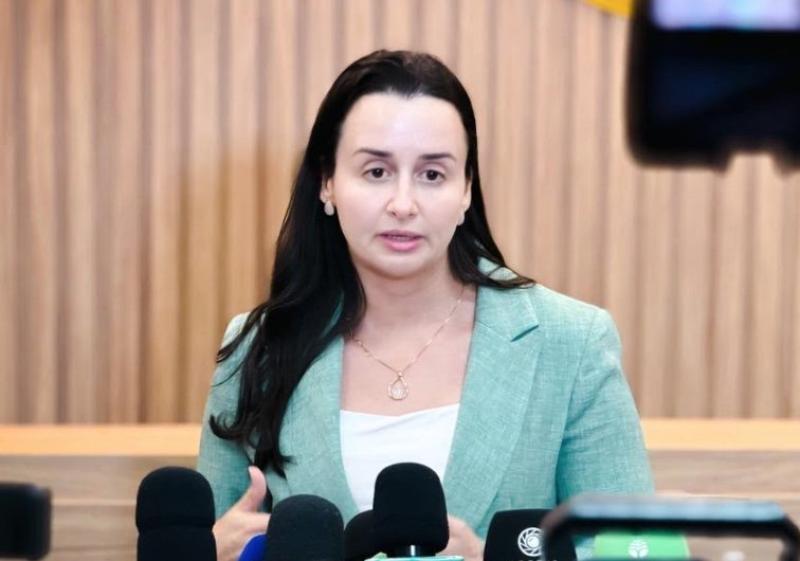 Homens que usaram chave de fenda e agrediram gato são presos em Manaus