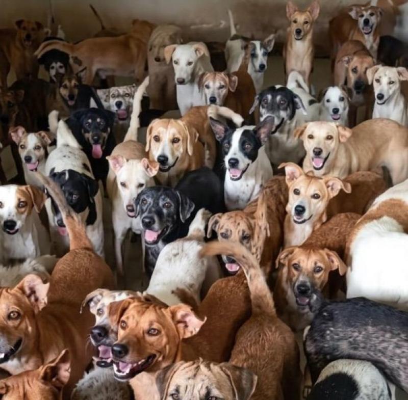 Captura de Tela 2026-03-26 às 13.43.10.jpg