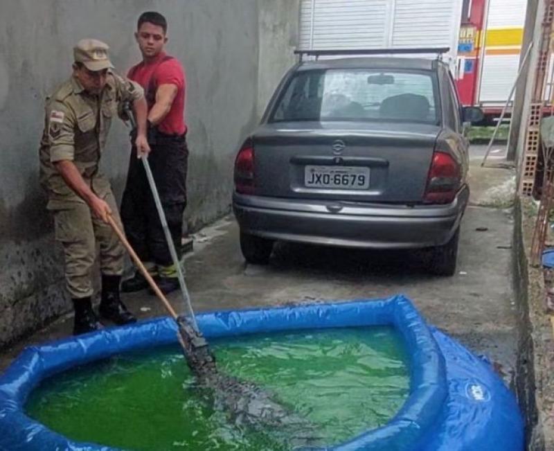 Captura de Tela 2026-03-30 às 11.09.18.jpg