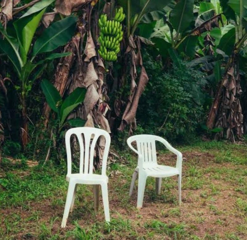 Captura de Tela 2026-03-03 às 11.24.20.jpg