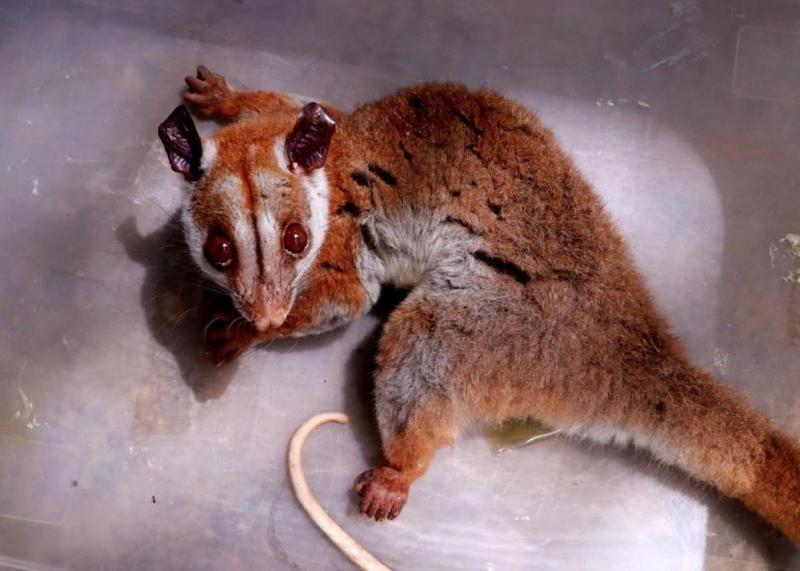 Captura de Tela 2026-03-19 às 13.47.37.jpg