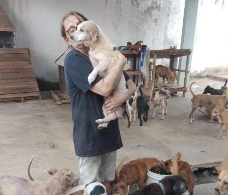 A beira do colapso: O drama de Dona Tânia Mussa e os 200 cães que não têm para onde ir