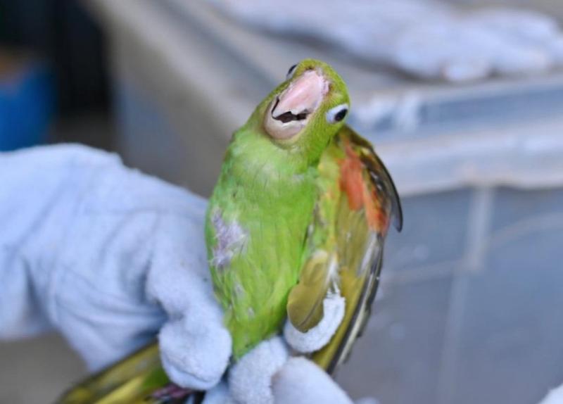 Captura de Tela 2026-03-27 às 14.45.53.jpg