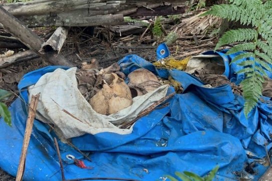 Ossada humana é encontrada em sacola às margens da AM-010