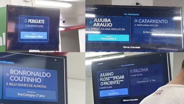 "Ronronaldo Coutinho" e "Brad Pitt": Nomes de pets em hospital veterinário de Manaus viralizam