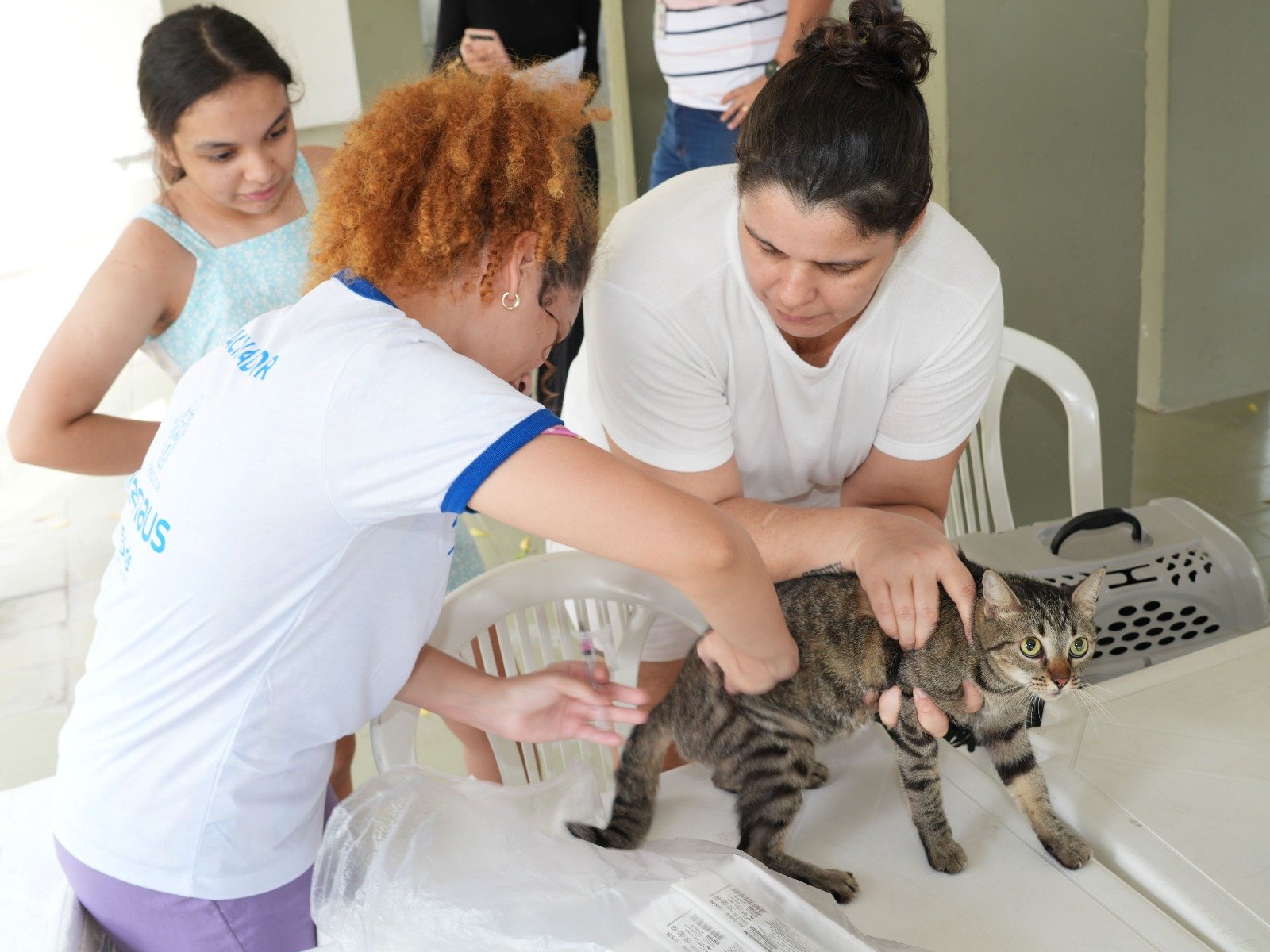 Jorge Teixeira recebe mutirão de saúde e vacinação animal neste sábado