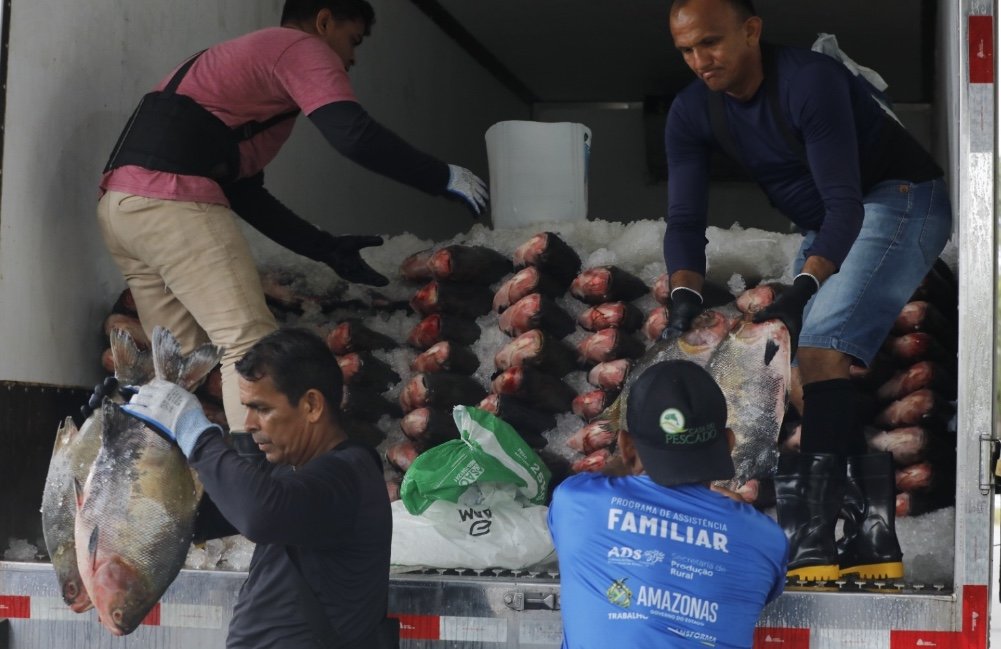 Governo distribui 470 toneladas de peixe para instituições sociais no Amazonas