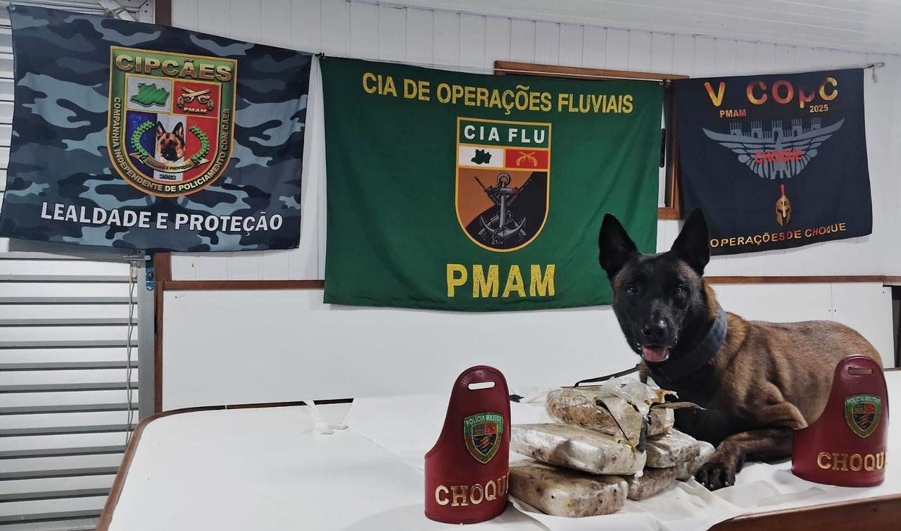 Com ajuda de cão farejador, PM apreende seis tabletes de skunk em Coari