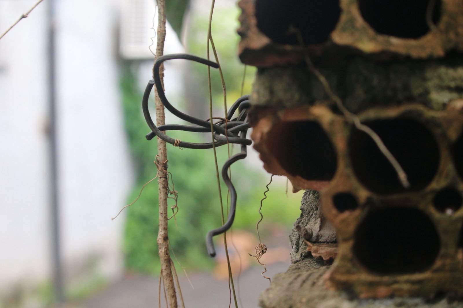 Polícia dá detalhes de homicídio no Coroado: "Facadas no pescoço, cabeça e ombro"