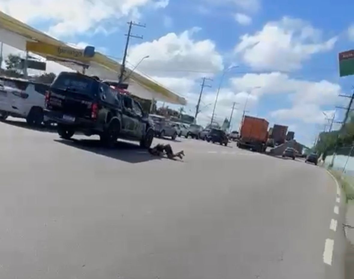 Vídeo: Suspeito tenta fugir a pé e acaba atingido por viatura da COE em Manaus