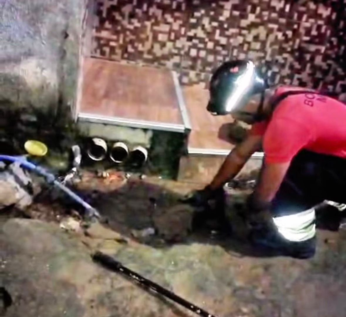 Sucuri de dois metros aparece em portão de casa e mobiliza bombeiros em Manaus