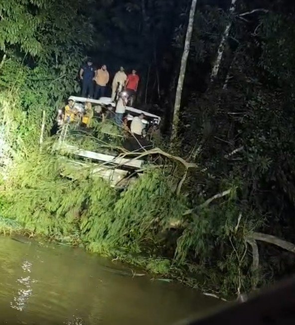 Lancha sofre colisão e fica presa em vegetação entre Coari e Tefé; veja vídeo