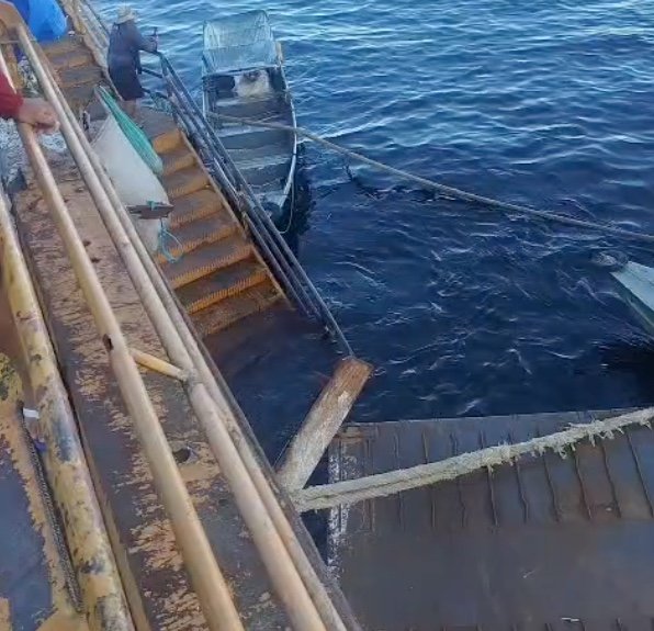 Estrutura de acesso à balsa amarela despenca na Manaus Moderna; veja vídeo