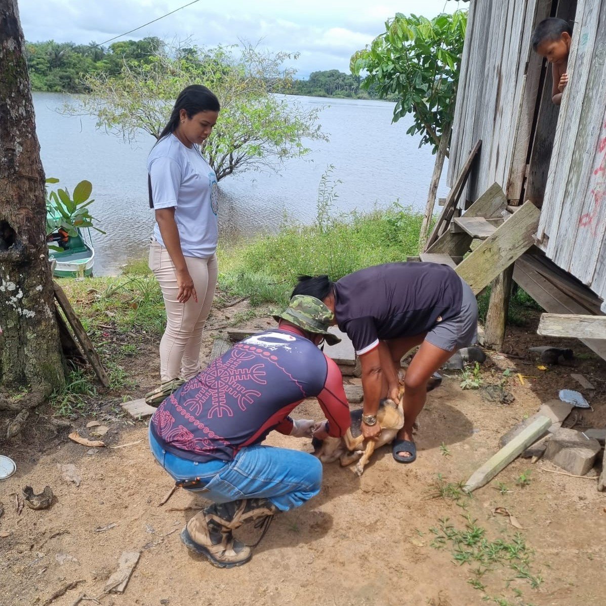 Manaus inicia vacinação antirrábica fluvial