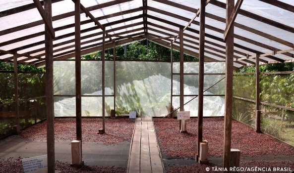 Amazonas, Pará e Rondônia: Edital seleciona 9 propostas para fortalecer o agronegócio sustentável